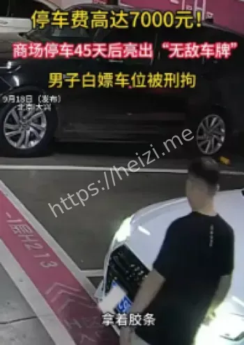 变造车牌逃停车费案例